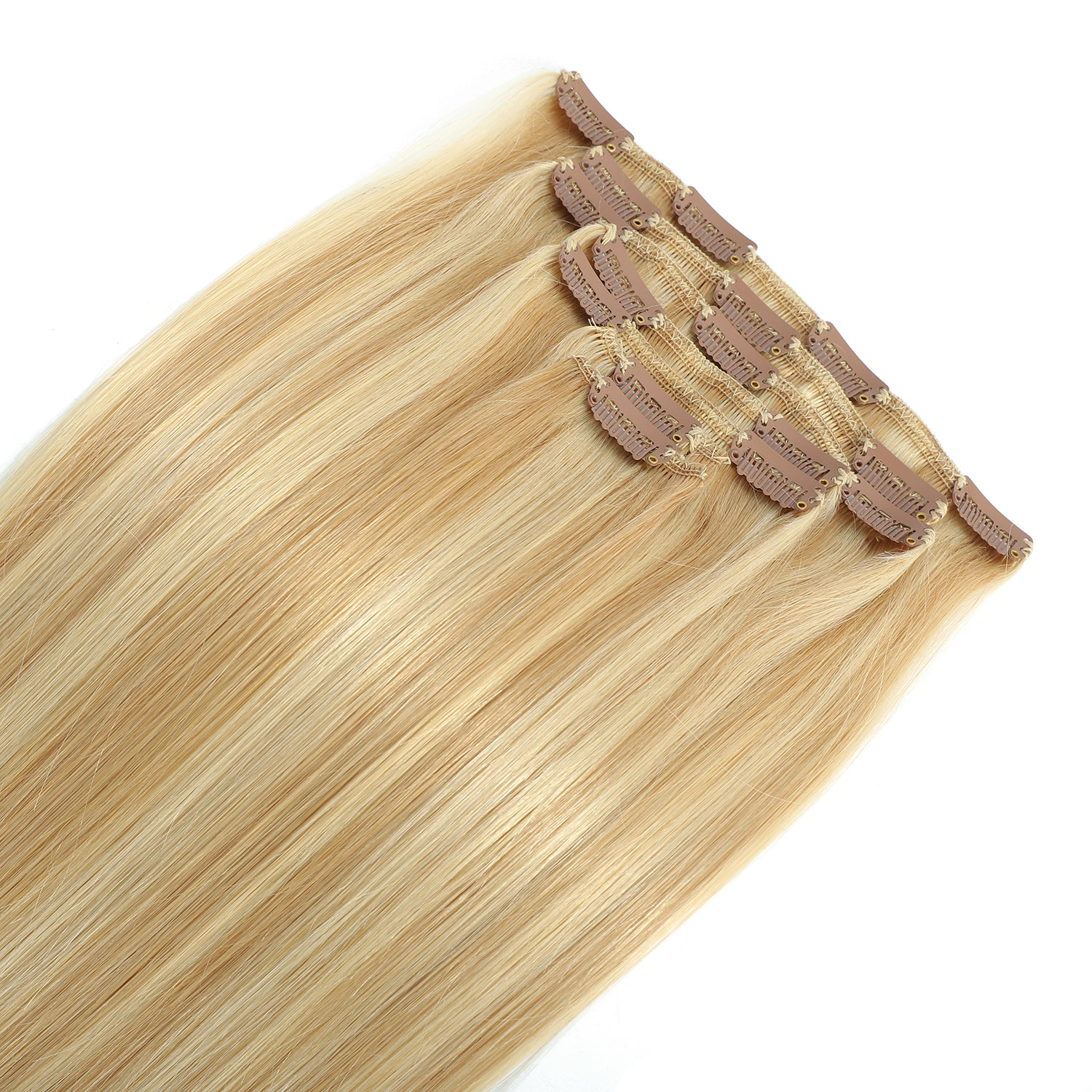 Clip in Hair Extensions